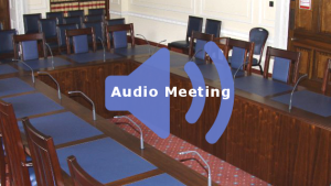 Audit only meeting