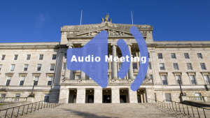 Audio coverage of the Assembly and Executive Review Committee Meeting - 24 June 2020