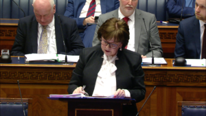 Diane Dodds Minister for the Economy in the Assembly Chamber