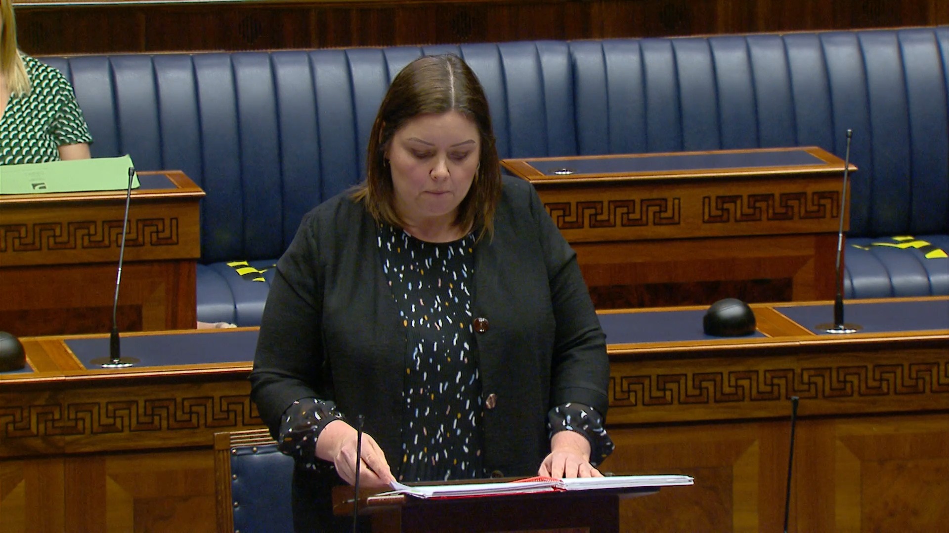 Draft discretionary support regulations - Tuesday 21 April 2020