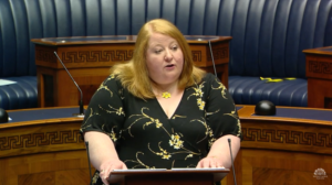 The Domestic Abuse and Family Proceedings Bill - Second Stage Tuesday 28 April 2020