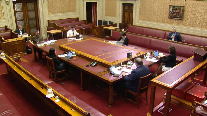 Committee for Health Meeting Thursday 21 May 2020