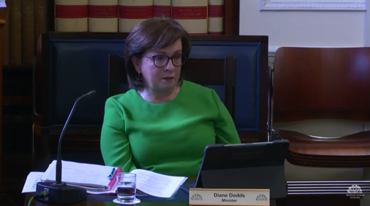 Committee for the Economy Meeting Wednesday 17 June 2020