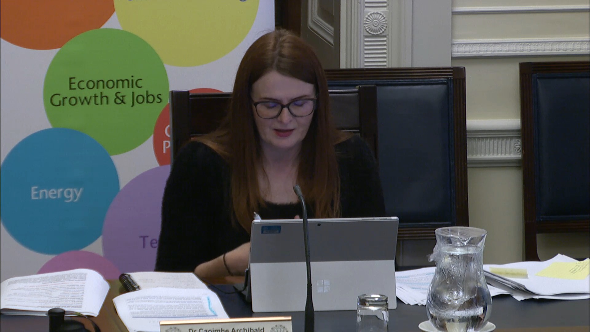 Economy Committee - Wednesday 24th June 2020