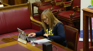 Infrastructure Committee Meeting 3 June 2020