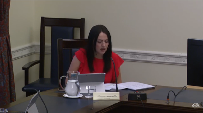 Ad Hoc Committee on a Bill of_Rights Meeting Thursday 2 July 2020