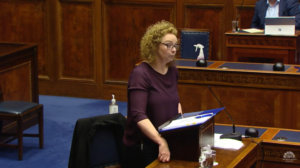 Ad Hoc Committee on the COVID-19 Response Thursday 9 July 2020
