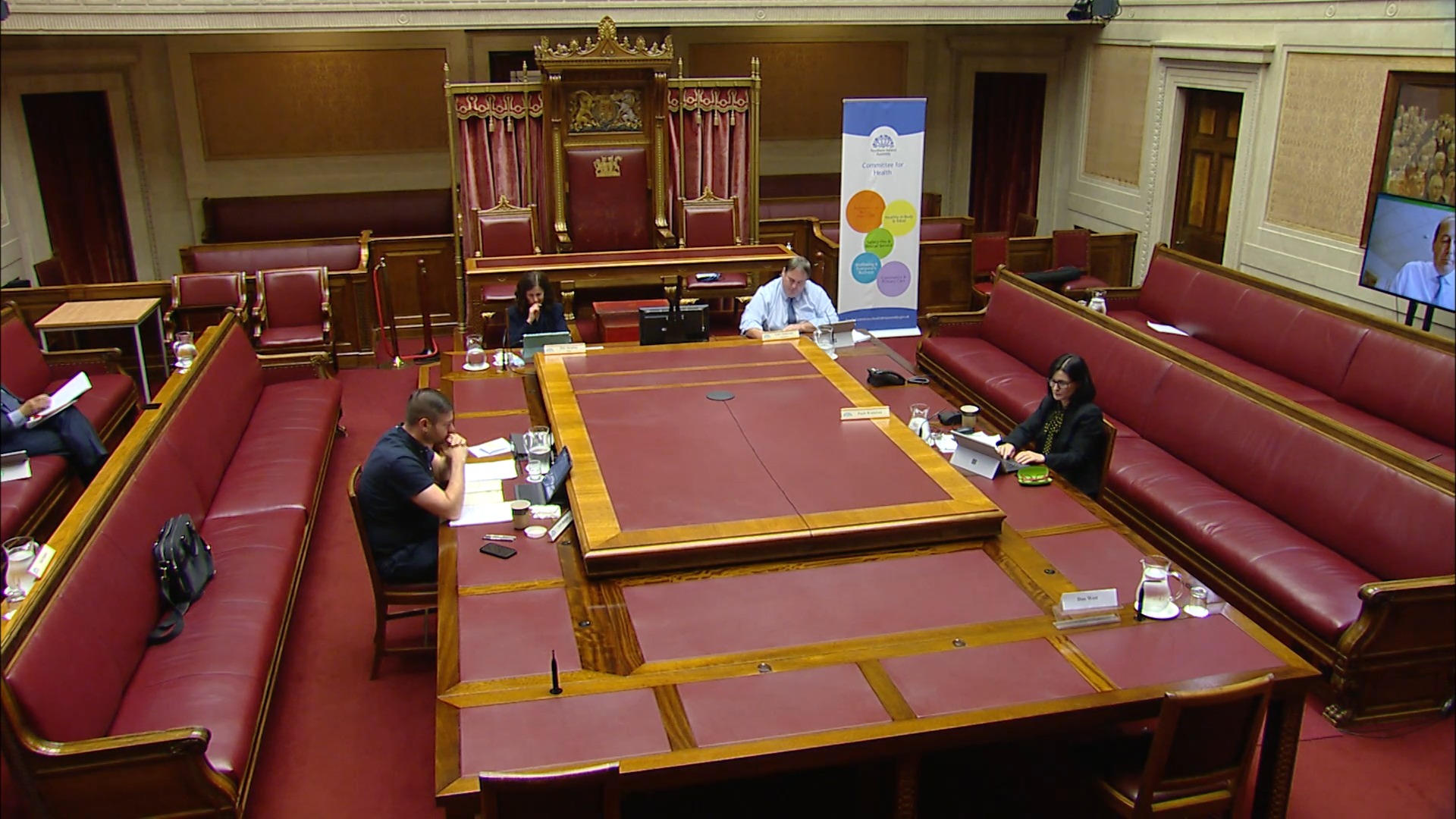 Health Committee Meeting - Thursday 23rd July 2020 Morning Session