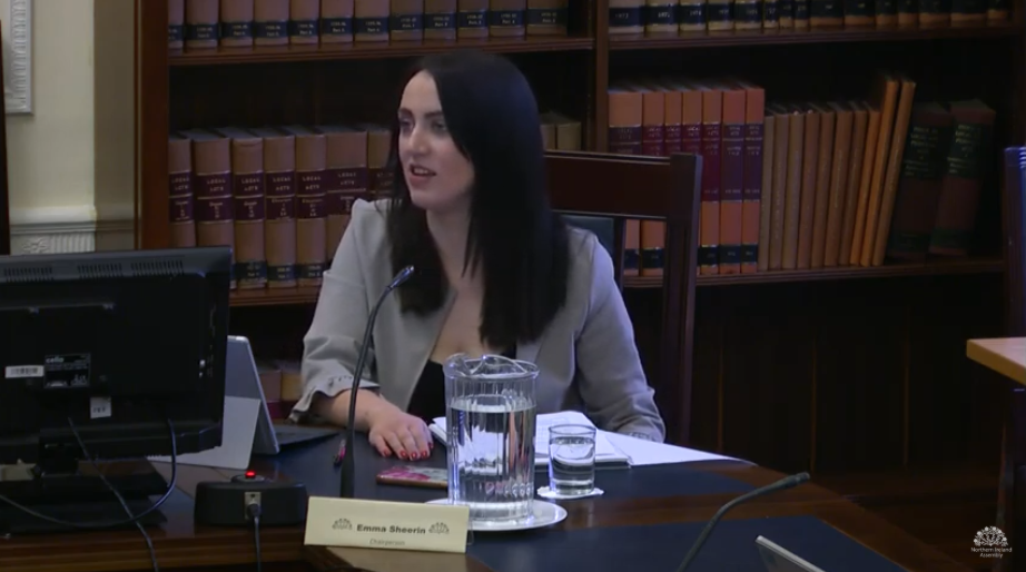 Ad Hoc Committee on a Bill of Rights Meeting - Thursday 24 September 2020