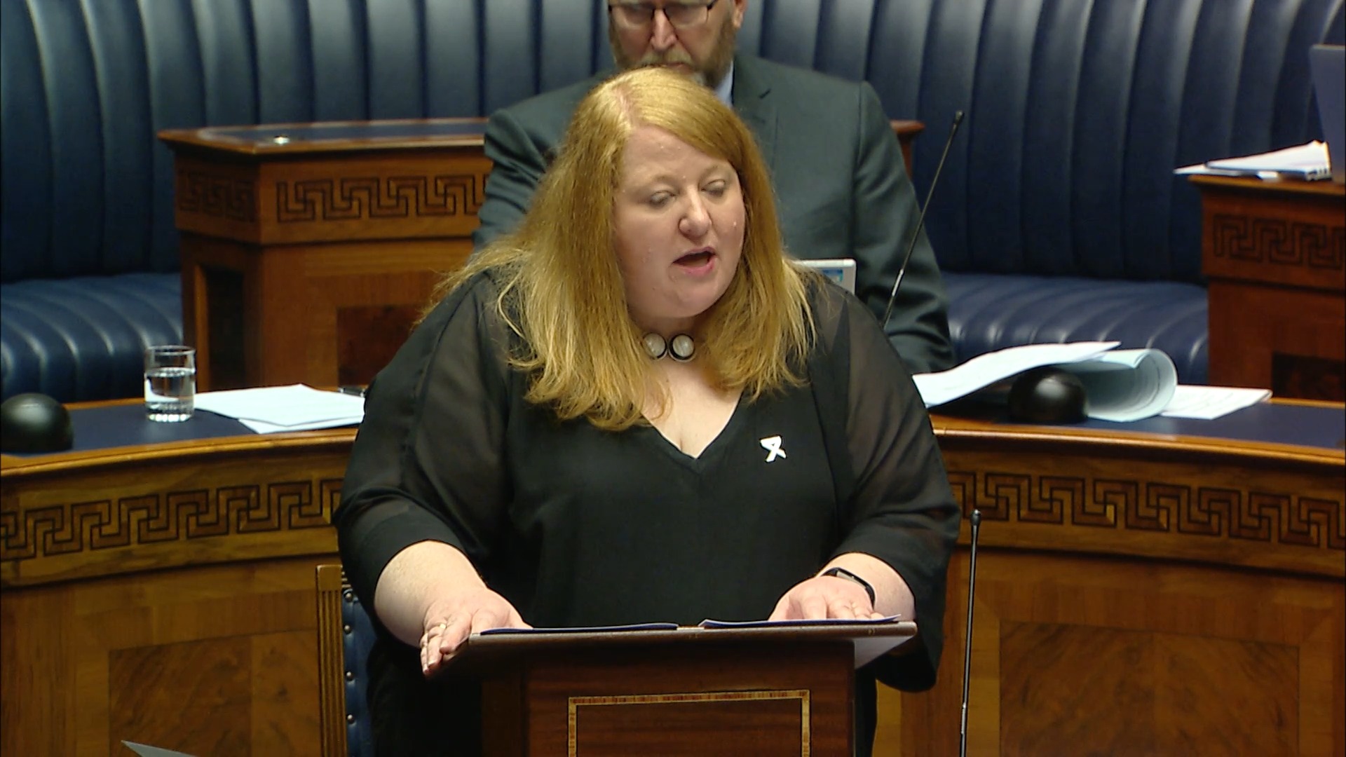 Consideration Stage - Domestic Abuse and Family Proceedings Bill - Tuesday 17th November 2020