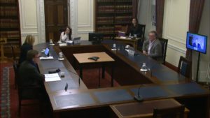 Ad Hoc Committee on a Bill of Rights Meeting - Thursday 10th December 2020
