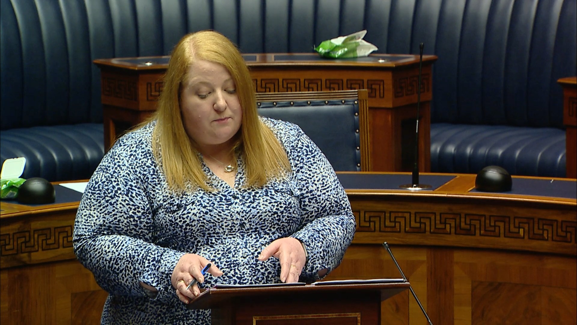 Health Protection Regulations Tuesday 8 December 2020 NI Assembly TV