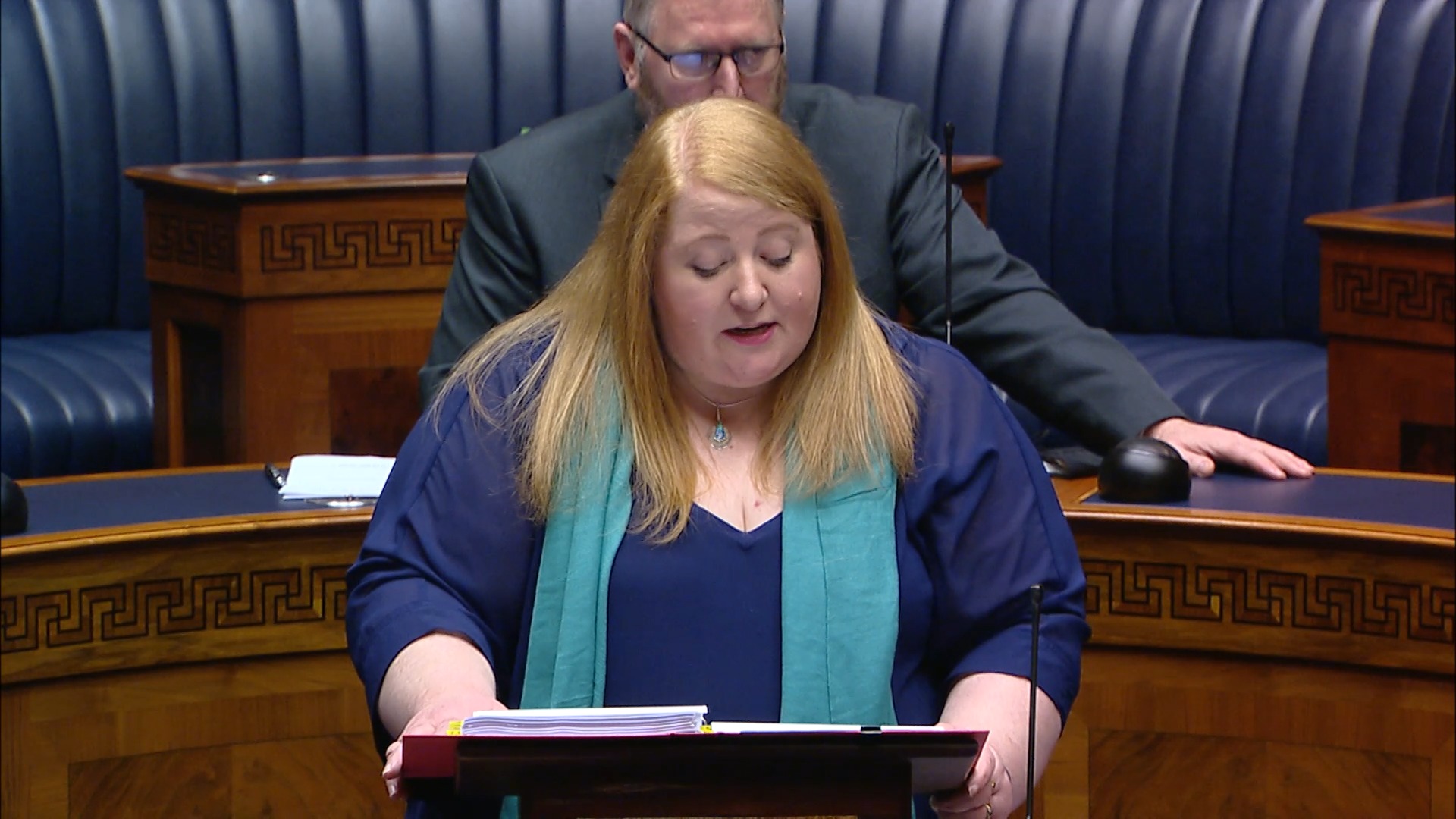 Final Stage Domestic Abuse and Family Proceedings Bill - Monday 18th January 2021