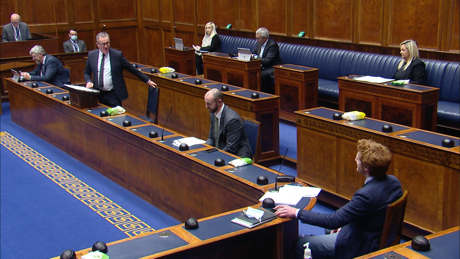 Finance Minister Statement - Monday 25th January 2021