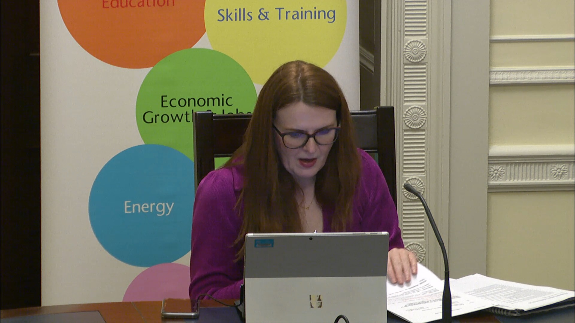 Economy Committee Meeting - Tuesday 2nd February 2021