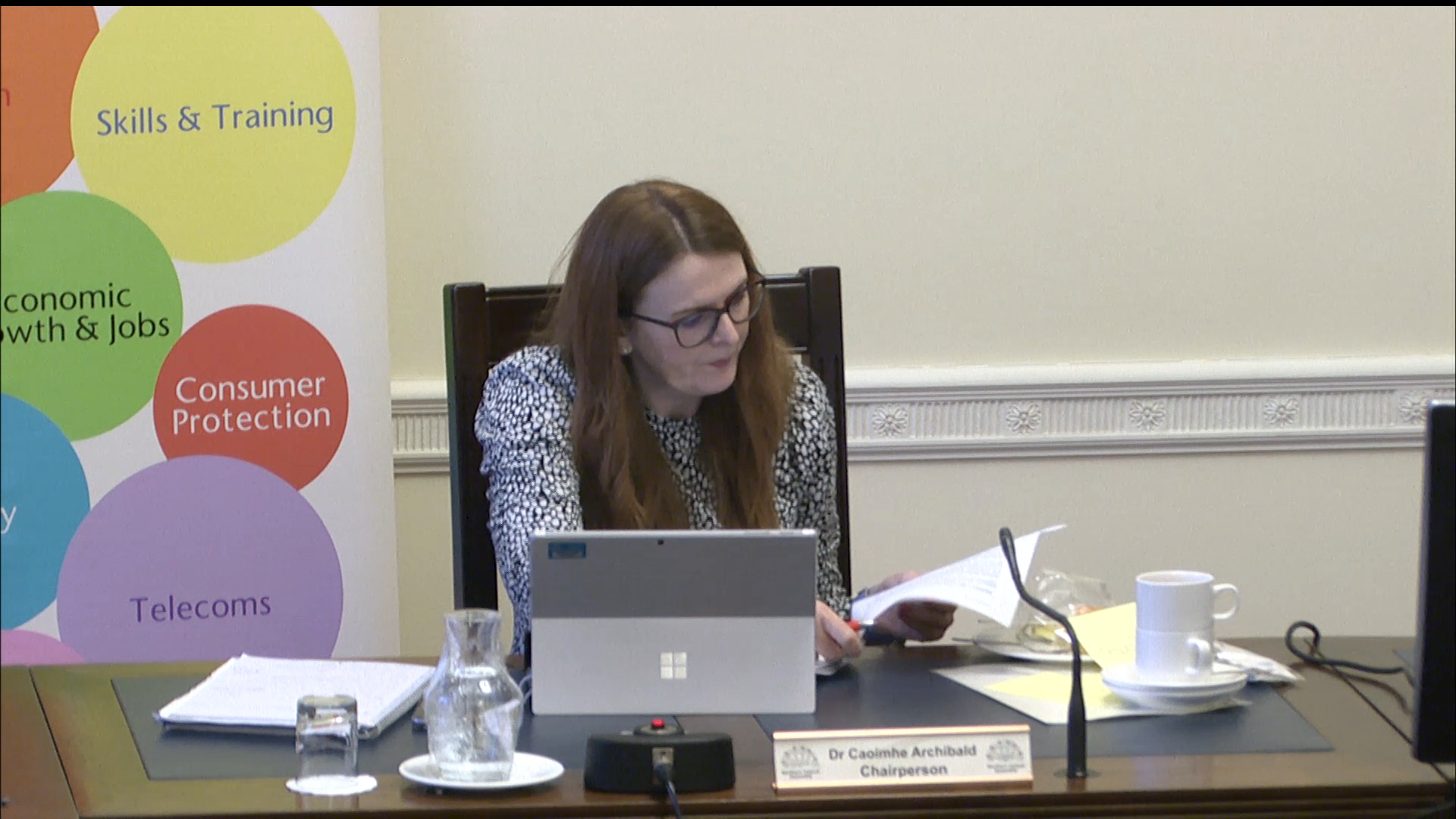 Economy Committee Meeting - Wednesday 17th February 2021