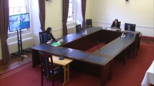 Ad Hoc Committee on a Bill of Rights Meeting - Thursday 17th June 2021