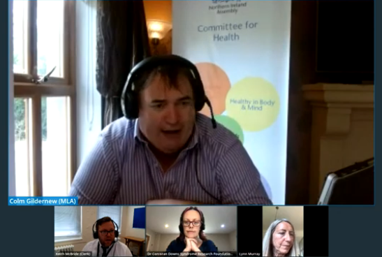 Health Committee meeting - 17 June 2021