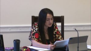 Ad Hoc Committee on a Bill of Rights Meeting - Thursday 1st July 2021