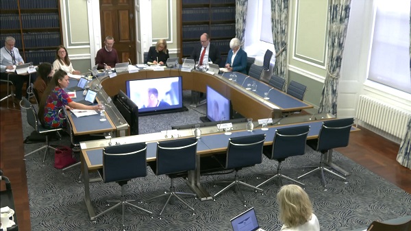 The Windsor Frame Framework Democratic Scrutiny Committee