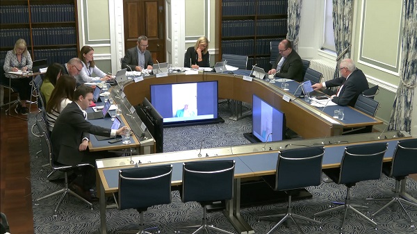Members of the Windsor Framework Democratic Scrutiny Committee sitting in a committee room in Parliament Buildings