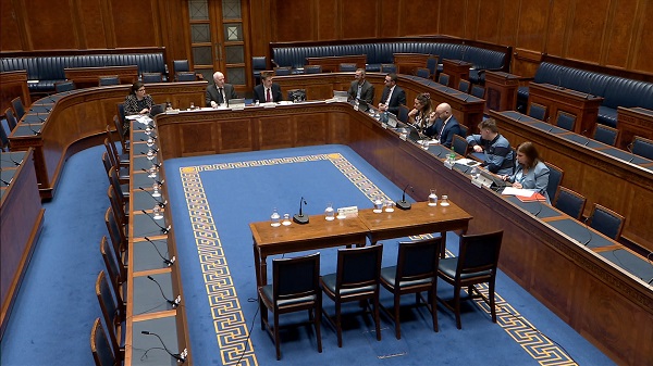 Members of the Committee for the Economy sitting in the Assembly Chamber in Parliament Buildings