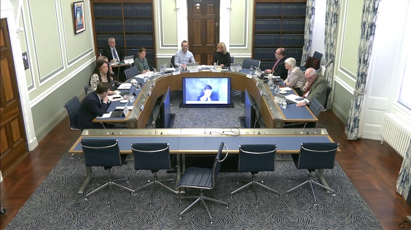 The Windsor Framework Democratic Scrutiny Committee sitting in a committee room at Parliament Buildings