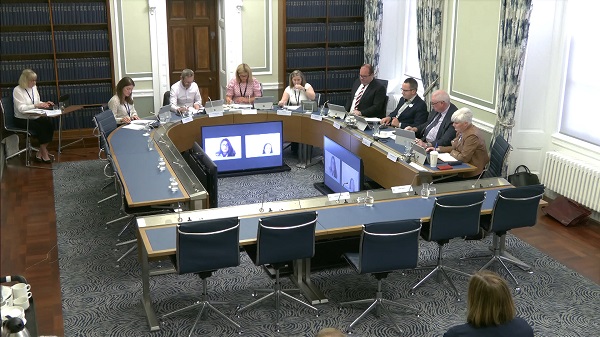 Members of the Windsor Framework Democratic Scrutiny Committee sitting in a committee room in Parliament Buildings
