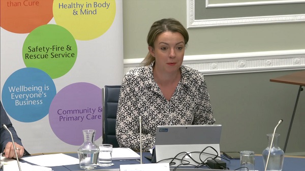 Liz Kimmins, Chair of the Committee for Health sitting in a committee room in Parliament Buildings