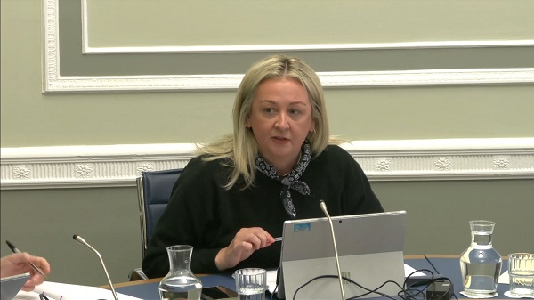 Deputy Committee Chair Sinead Ennis sitting in a committee room in Parliament Buildings