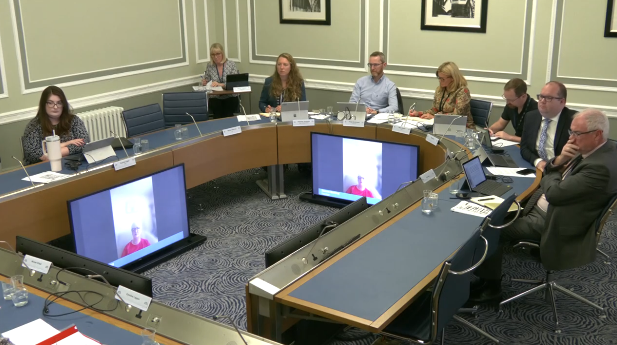 The Democratic Scrutiny Committee receiving evidence during a Committee meeting.