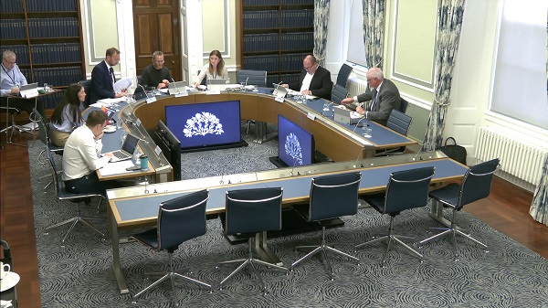 Members of the Windsor Framework Democratic Scrutiny Committee sitting in a committee room in Parliament Buildings