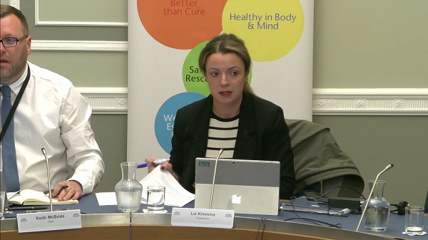 Liz Kimmins, Chair of the Committee for Health sitting in a committee room in Parliament Buildings