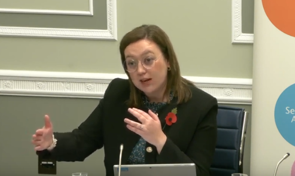 Committee Chair Deborah Erskine sitting in a committee room in Parliament Buildings