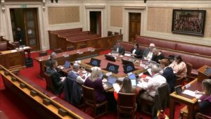 Members of the Finance Committee sitting in the Senate Chamber of Parliament Buildings.