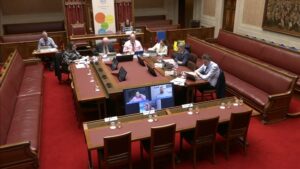 Members of the Finance Committee sitting in the Senate Chamber of Parliament Buildings.