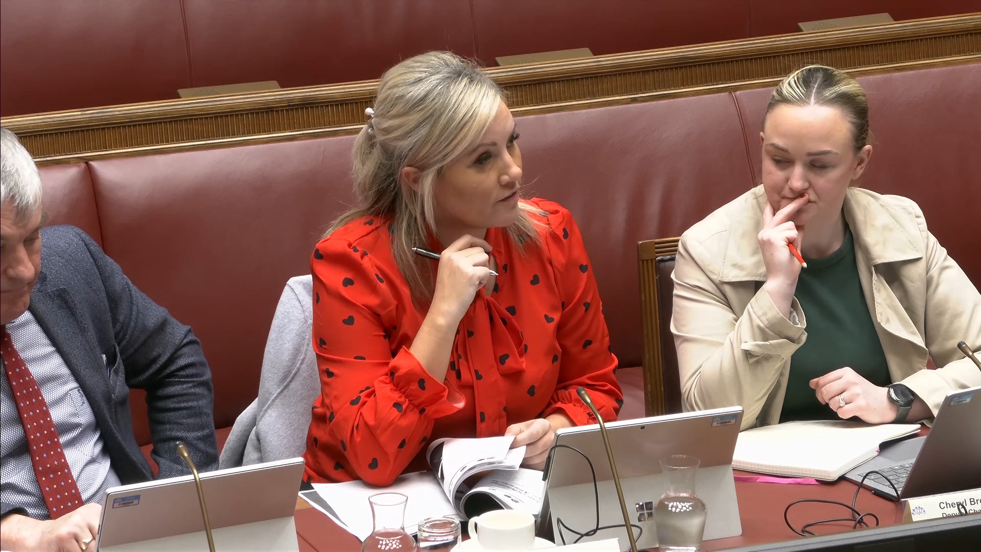 The Public Accounts Committee during its meeting on THursday 23 January 2025.