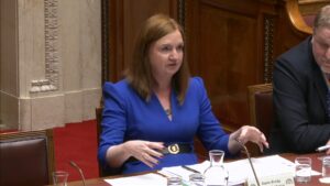 Head of the Civil Service, Jayne Brady, during a meeting of the Public Accounts Committee on Thursday 30 January 2025.