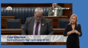 Colm Gildernew, Chairperson of the Communities Committee, proposes the extension of the Committee Stage of the Sign Langugae Bill (with an ISL interpreter in the foreground)
