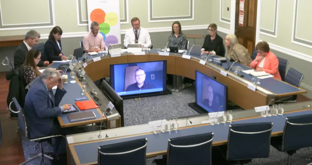 Committee for Health - Thursday 29 May 2025